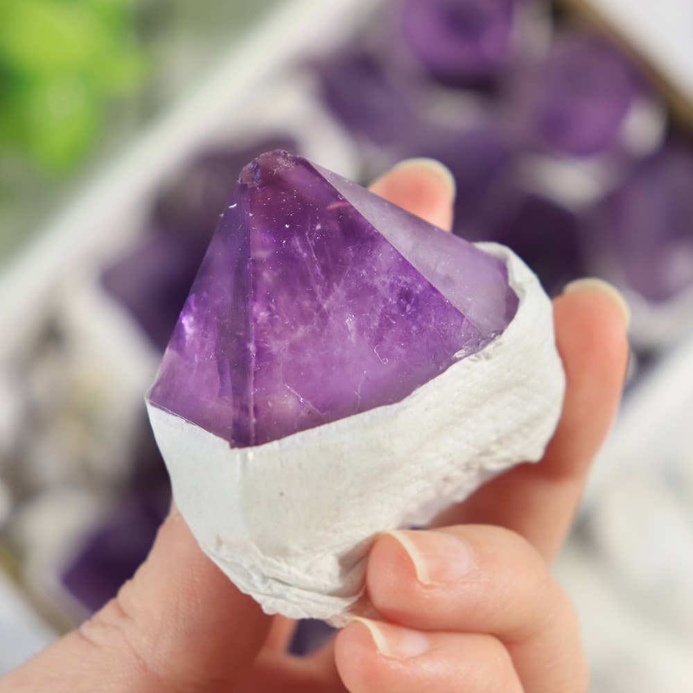 Amethyst Flat Points - Amethyst Crystal - Large sized pieces