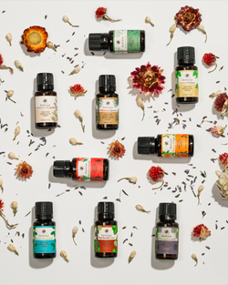 15 ml Orange Ginger Aroma Blend