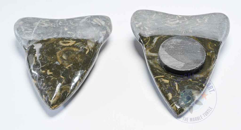 Marble Shark Tooth Magnet 2