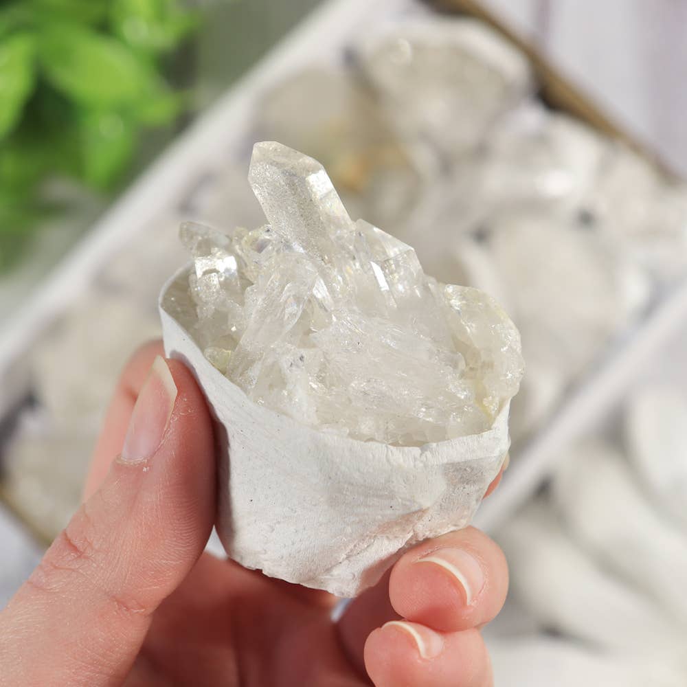 Clear Quartz Clusters in a Flat (Small)