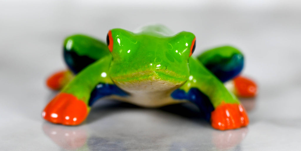 Marble Green Tree Frog 3