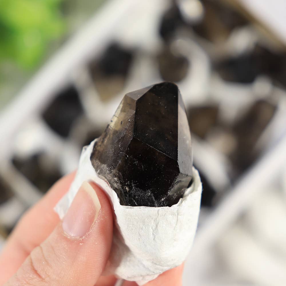 Smoky Quartz Clusters in a Flat (Small)