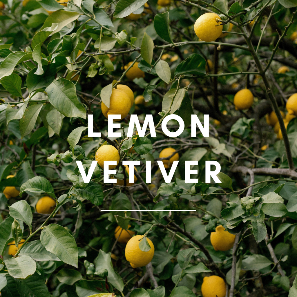15 ml Lemon Vetiver Aroma Blend