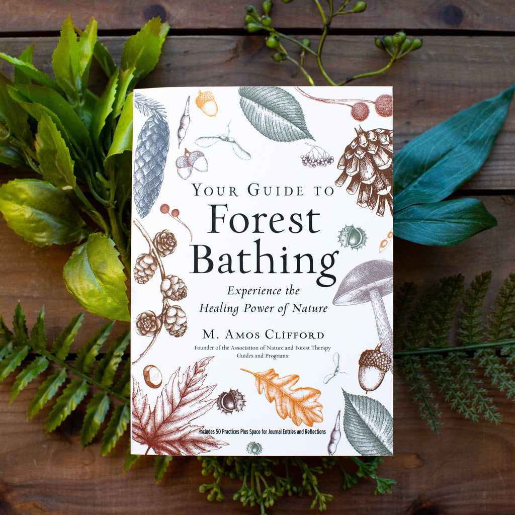 Your Guide to Forest Bathing: Expanded Edition Book
