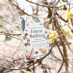 Your Guide to Forest Bathing: Expanded Edition Book