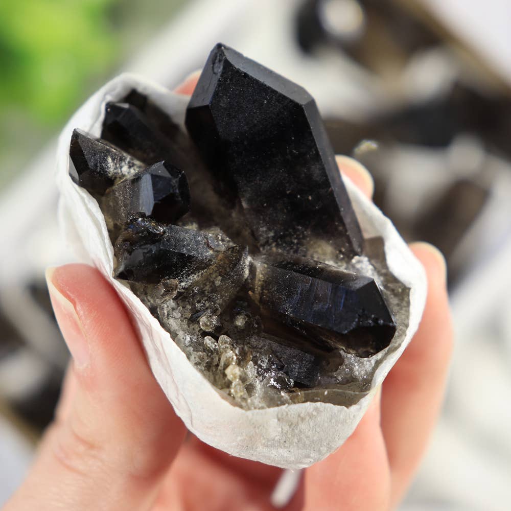 Smoky Quartz Clusters in a Flat (Small)
