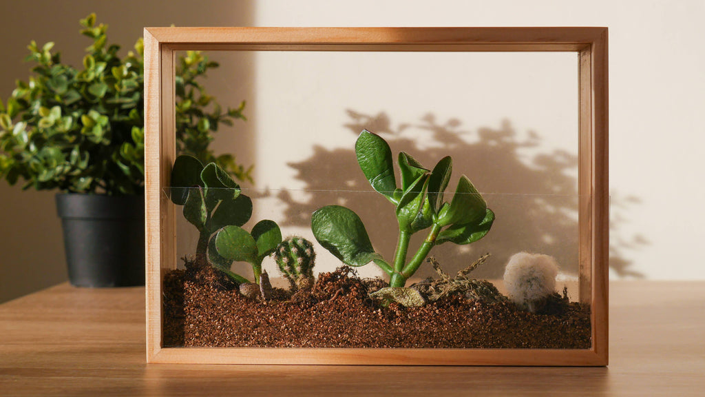 Vertical Garden