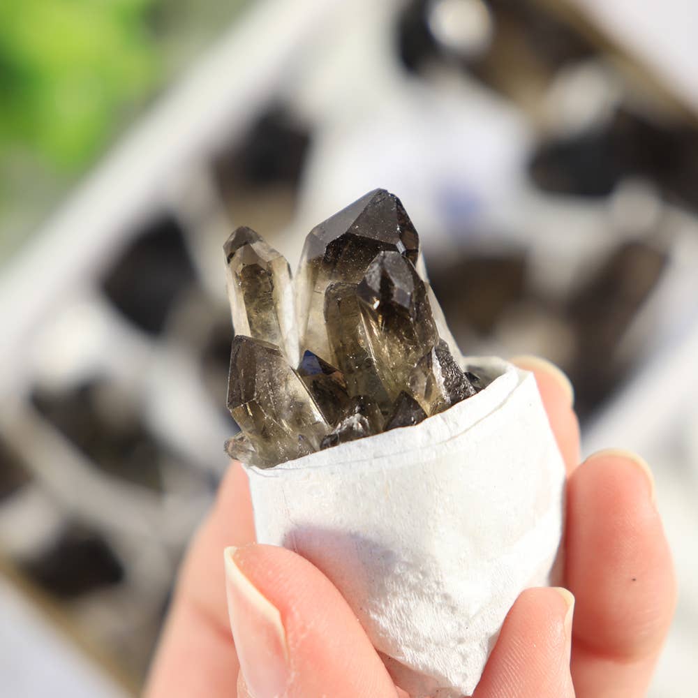 Smoky Quartz Clusters in a Flat (Small)