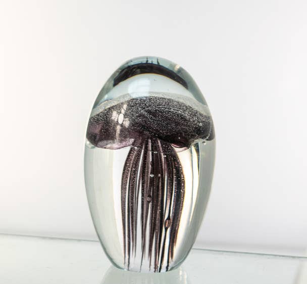 Black Jellyfish