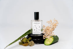 Cancer Zodiac Fragrance: 15 ml / Roll-on