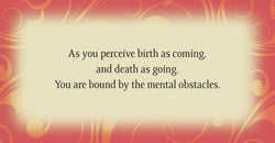 Buddha Wisdom Divine Feminine Cards