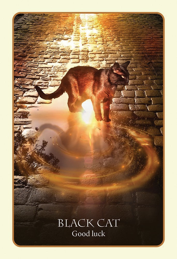 Divination of the Ancients Tarot Deck