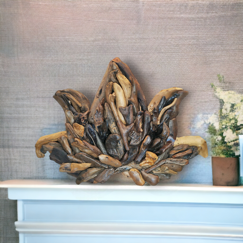 DRIFTWOOD LOTUS