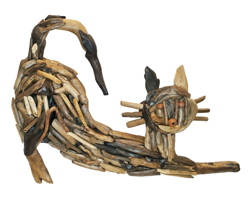 DRIFTWOOD CAT