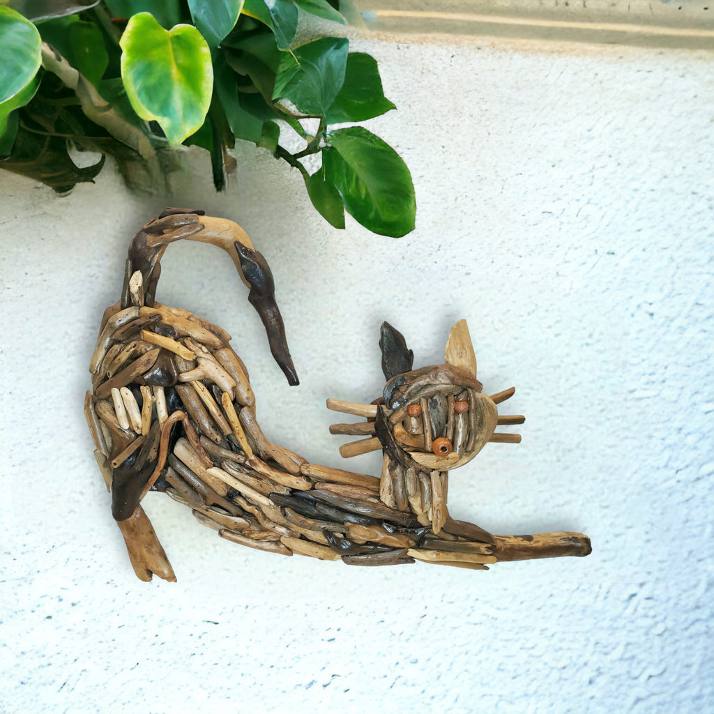 DRIFTWOOD CAT