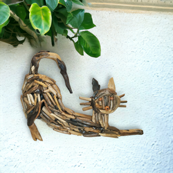 DRIFTWOOD CAT