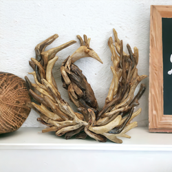 DRIFTWOOD PEACOCK