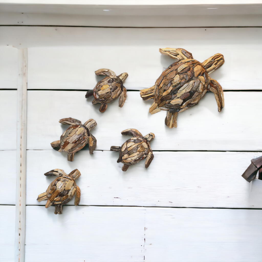 DRIFTWOOD TURTLE MOTHER AND 4 BABIES