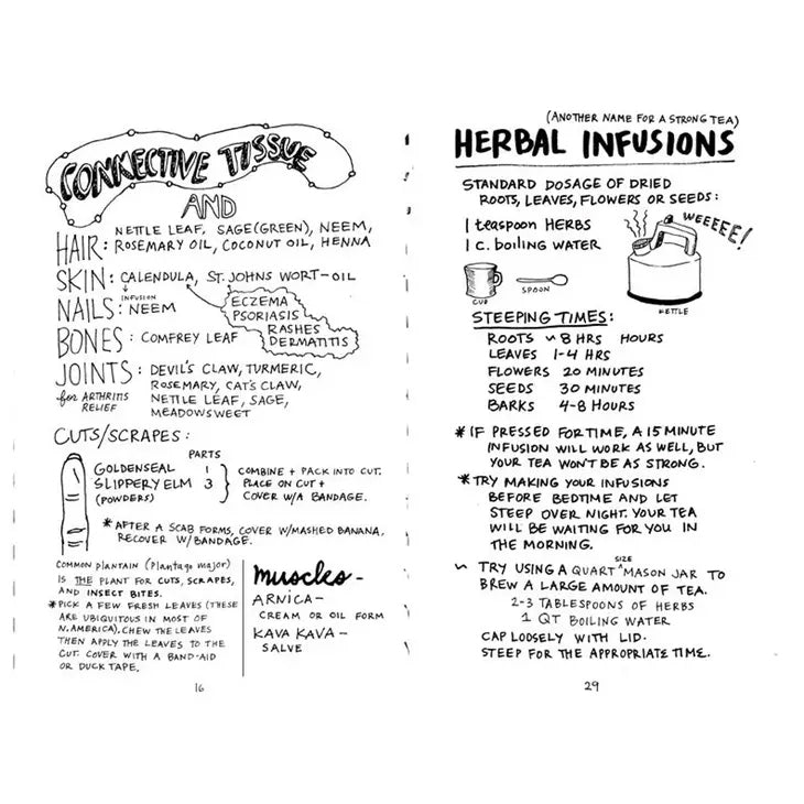 Healing Your Magical Body with Plants & Minerals