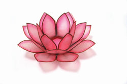 Capiz Lotus Tea Light Holder With Single Stand Set (3 Leg Base), Flamingo