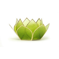 Capiz Lotus Stand Mini 5 Stand Set