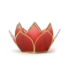 Capiz Lotus Stand Mini 5 Stand Set