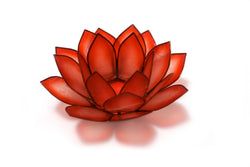 Tree of Life Capiz Lotus Set - Paradise