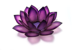 Capiz Lotus Tea Light Holder Climbinbing Vine, Passion