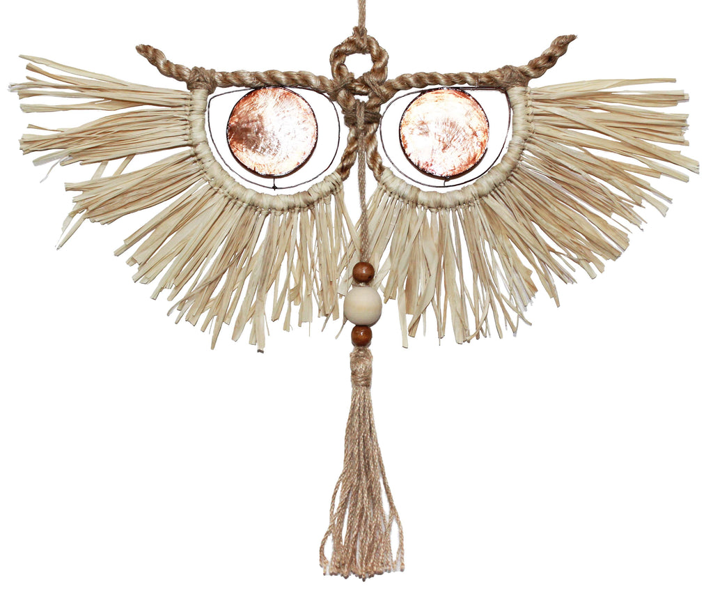 Owl Raffia Capiz Wall Decor