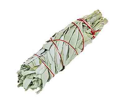 Califoria White Sage Medium