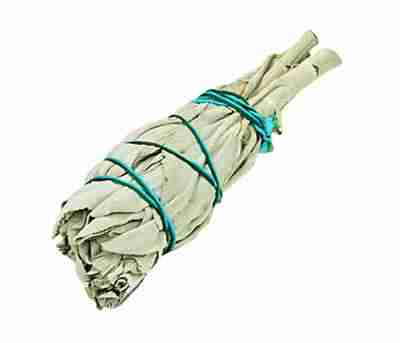 California White Sage Mini