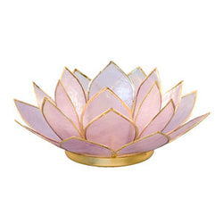 Capiz Lotus Tea Light Holder Climbinbing Vine, Amethyst