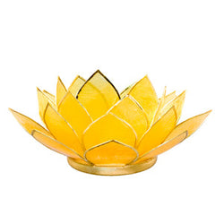 Capiz With Spiral Chakra Stand Set - Gemstone