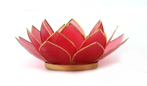 Capiz With Spiral Chakra Stand Set - Gemstone