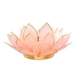 Capiz Lotus Tea Light Holder Climbinbing Vine, Rose Quartz