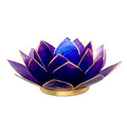 Capiz Lotus Tea Light Holder Climbinbing Vine, Tanzanite