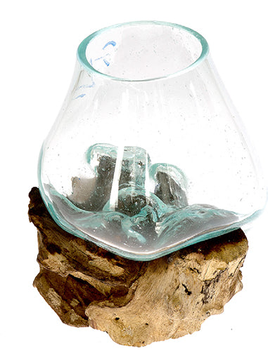 Driftwood With Glass Bowl