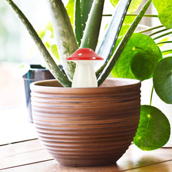 Mushroom Self Watering Plant Dispenser