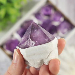 Amethyst Flat Points - Amethyst Crystal - Large sized pieces