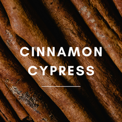 15 ml Cinnamon Cypress Aroma Blend