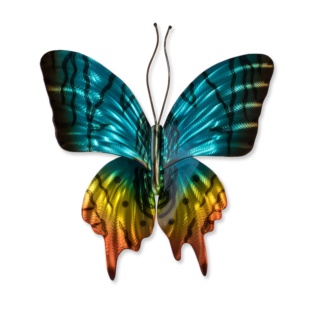 Sunset Moth Sgl