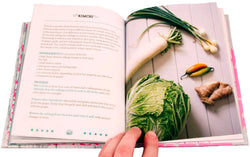 Basic Fermentation: A DIY Guide to Cultural Manipulation