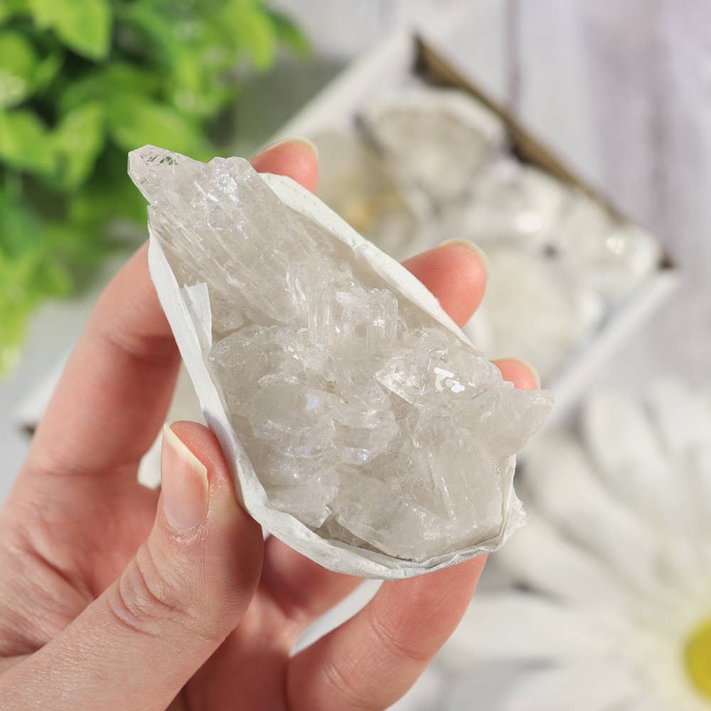 Clear Quartz Clusters in a Flat (Small)