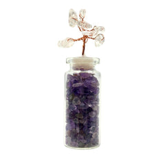 Wishing Jar - Intuition