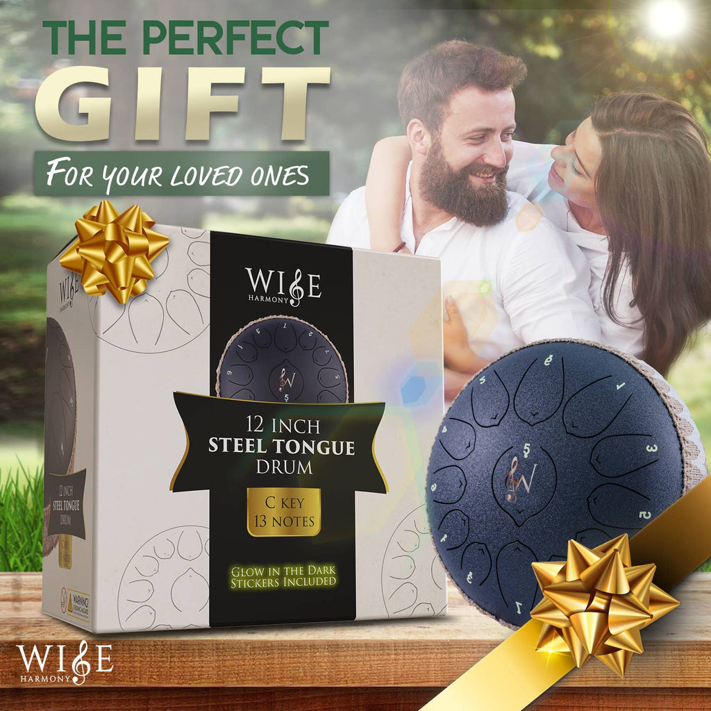 12-Inch 13-Notes Steel Tongue Relaxing Meditation Rain Drum: Red