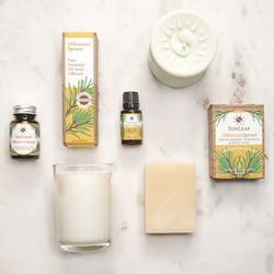 1 oz Reed Diffuser - Olibanum Spruce