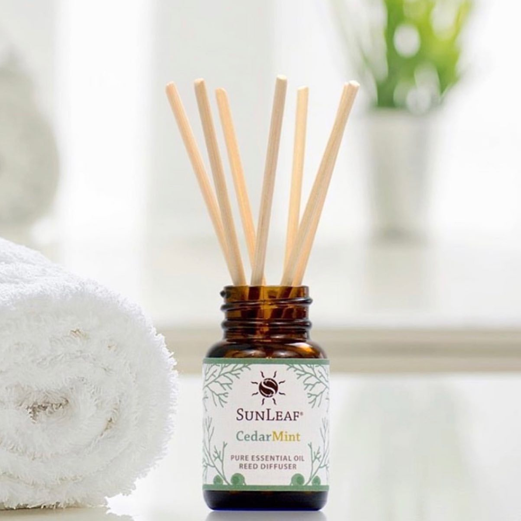 1 oz Reed Diffuser - Olibanum Spruce