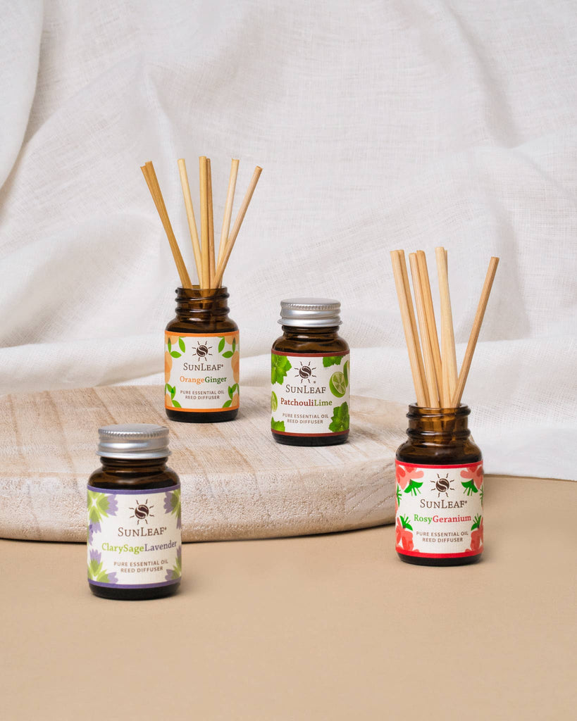 1 oz Reed Diffuser - Olibanum Spruce