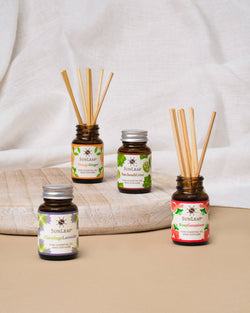 1 oz Reed Diffuser - Olibanum Spruce