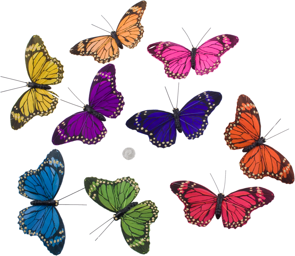 Rainbow Monarch Butterfly Galrand - THH1314
